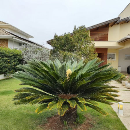 Casa à venda com 4 quartos, sendo 2 suítes, no condomínio Primavera, Salto - SP