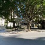 Apartamento à venda com 3 suítes em Vila Andrade, São Paulo, SP