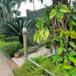 Casa à venda com 2 quartos em Jardim Leonor Mendes de Barros, São Paulo, SP