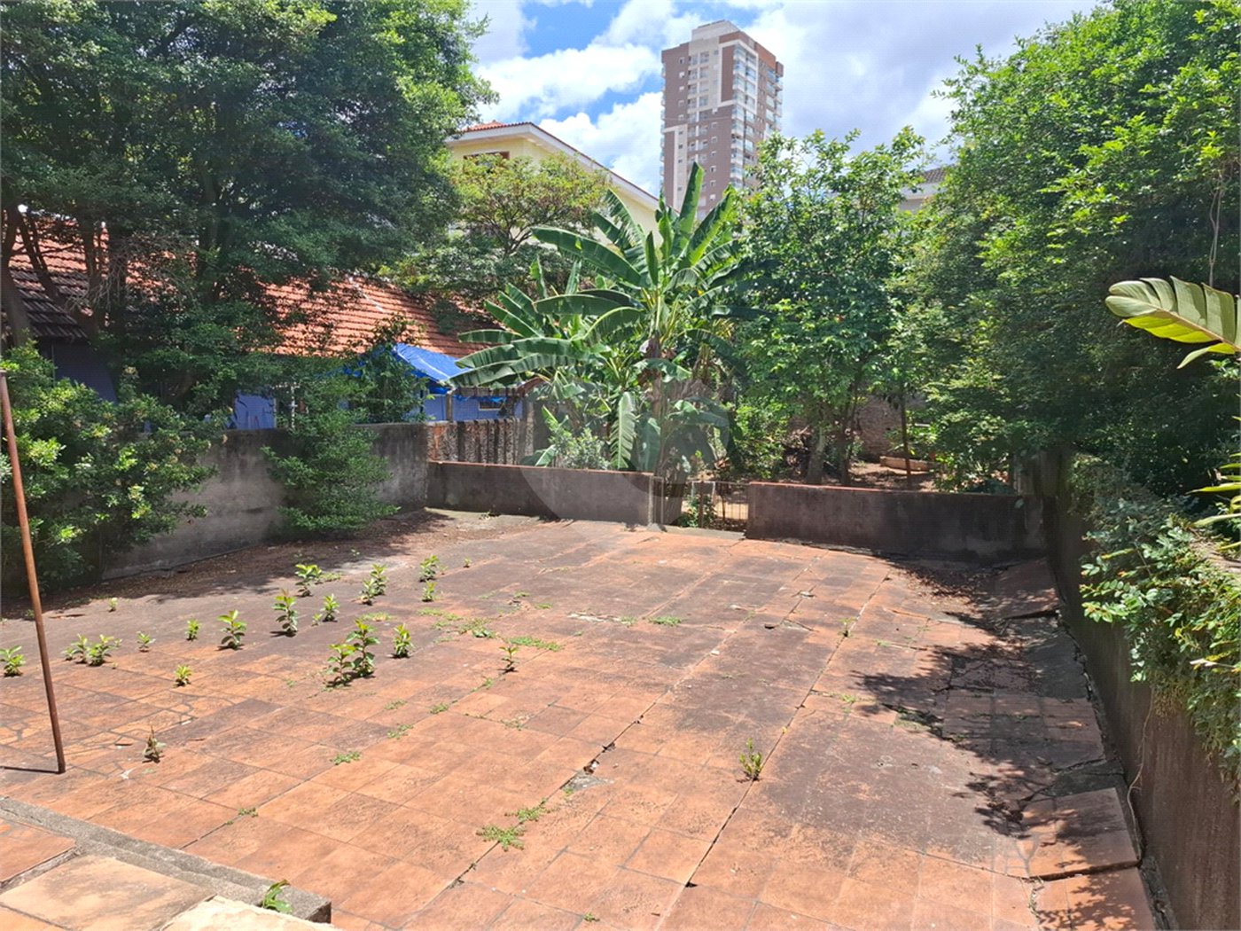 Casa Térrea à venda com 5 quartos, sendo 1 suíte, em Mandaqui, São Paulo, SP