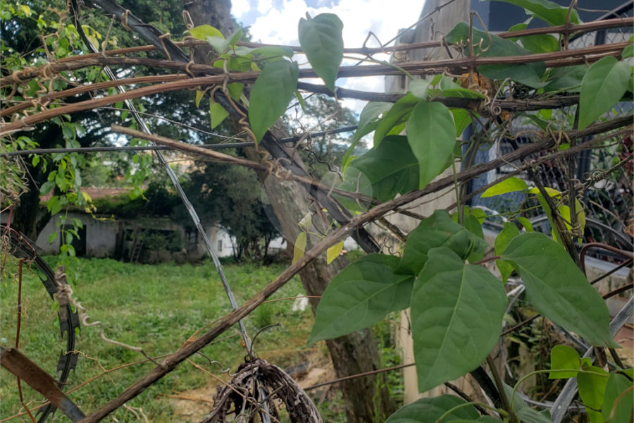 Terreno à venda em Tremembé, São Paulo, SP