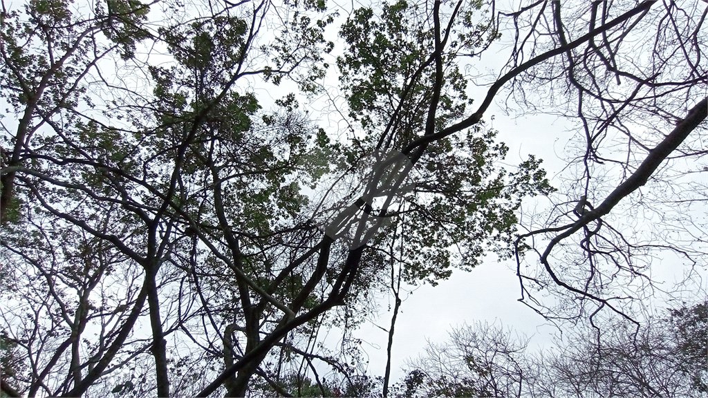 Terreno à venda em Chácaras Alpina, Valinhos, SP