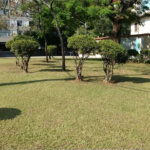 Sobrado à venda com 3 quartos, sendo 1 suíte, em Jardim Jussara, São Paulo, SP