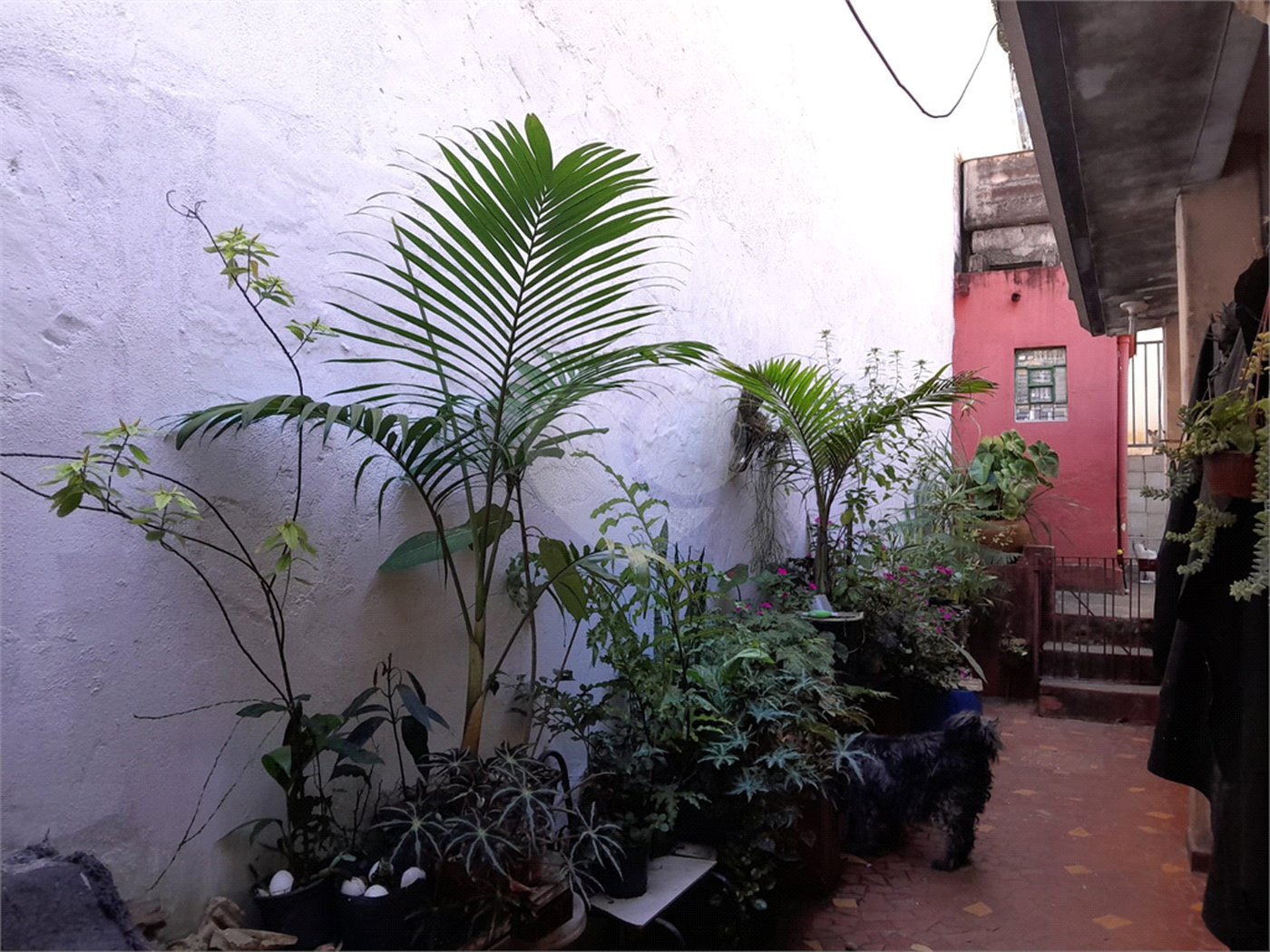 Casa à venda com 4 quartos em Vila Ipojuca, São Paulo, SP