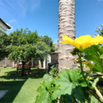Casa à venda com 4 suítes no condomínio Parque Chapada de Itu, Itu - SP