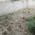 Terreno à venda em Campo Grande, Rio de Janeiro, RJ