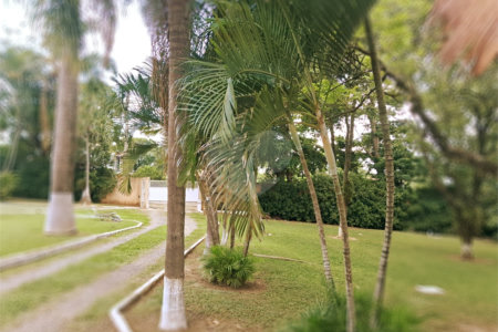 Chácara à venda com 8 quartos, sendo 5 suítes, em Chácara Belvedere, Indaiatuba, SP