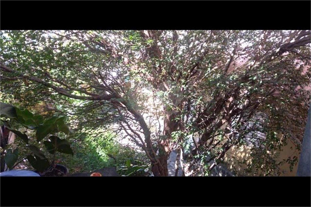 Sobrado à venda com 4 quartos em Vila Santa Edwiges, São Paulo, SP