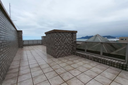 Cobertura com 4 dormitórios à venda, 380 m² por R$ 4.999.999,00 - Gonzaga - Santos/SP