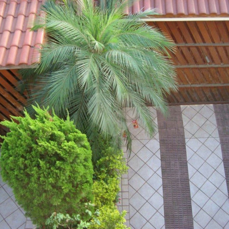 Sobrado à venda com 4 quartos, sendo 2 suítes, em Santa Teresinha, São Paulo, SP
