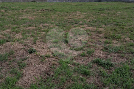 Terreno à venda em Mato Dentro, Mairinque, SP