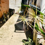 Casa Térrea à venda com 3 quartos, sendo 1 suíte, em Parque Ouro Fino, Sorocaba, SP