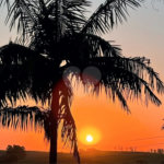 Sítio à venda com 6 quartos, sendo 5 suítes, em Área Rural de Itapetininga, Itapetininga, SP