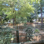 Casa para alugar com 4 quartos, sendo 2 suítes, no condomínio Palm Garden, São Paulo - SP