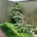 Sobrado à venda com 3 quartos, sendo 1 suíte, em Alto da Boa Vista, São Paulo, SP