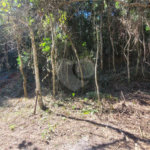 Condomínio à venda em Caraguatá, Mairiporã, SP