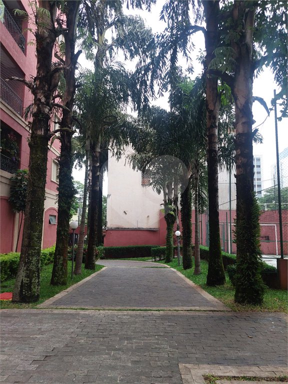 Apartamento à venda com 3 quartos em Mandaqui, São Paulo, SP