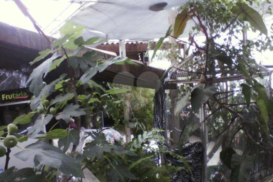 Prédio à venda em Água Fria, São Paulo, SP