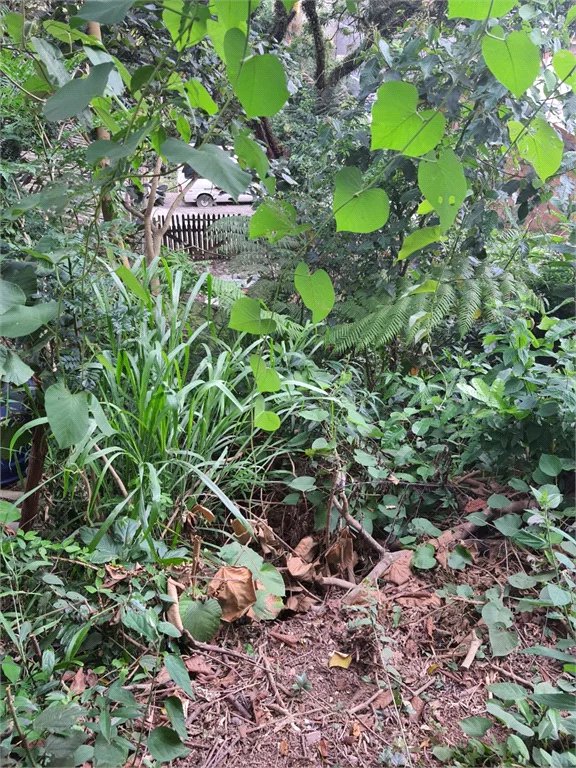 Loteamento à venda em Jardim Amália, São Paulo, SP