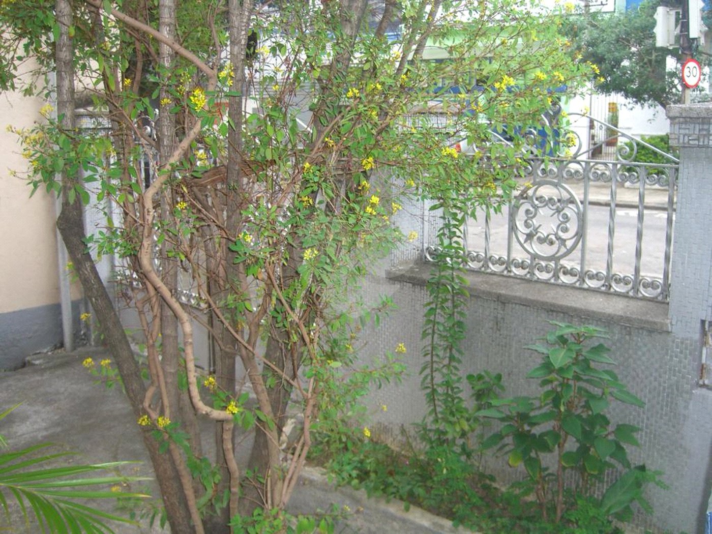 Casa à venda com 5 quartos em Grajaú, Rio de Janeiro, RJ