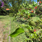 Casa mobiliada para locação no Condomínio Recanto Tranquilo (Palavra de Vida) – Atibaia/SP