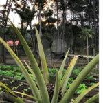 Chácara à venda com 5 quartos, sendo 2 suítes, em Taiaçupeba, Mogi das Cruzes, SP