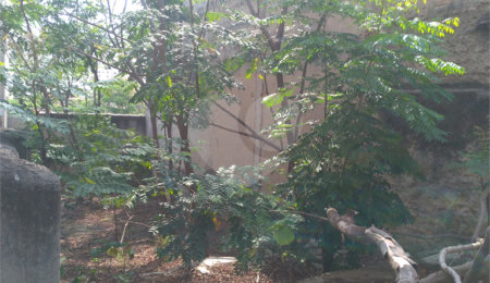 Terreno à venda em Casa Verde, São Paulo, SP