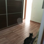 Terreno á venda com 2 casas na Vila Rosália, Guarulhos, SP.