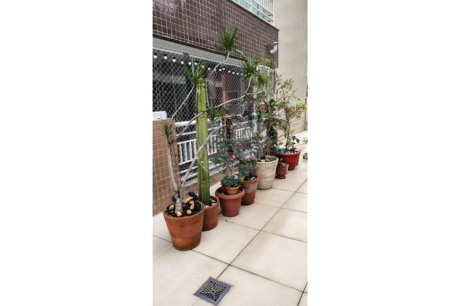 Apartamento à venda com 2 quartos, sendo 1 suíte, em Parada Inglesa, São Paulo, SP