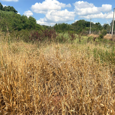 Terreno à venda em Jardim Colombo, Itapetininga, SP