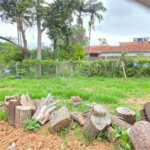 Terreno à venda em Jardim do Engenho, Cotia, SP
