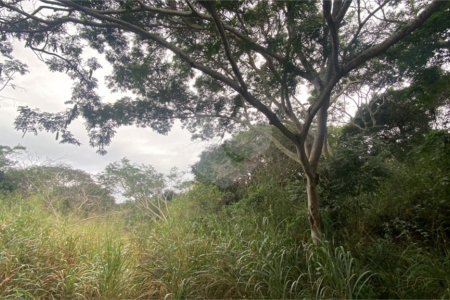 Terreno à venda em Ferradura, Armação dos Búzios, RJ
