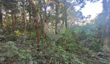 Terreno à venda em Serra da Cantareira, Mairiporã, SP
