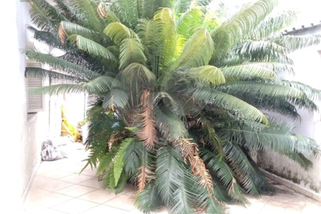Sobrado à venda com 3 quartos, sendo 2 suítes, em Vila Rea, Poá, SP