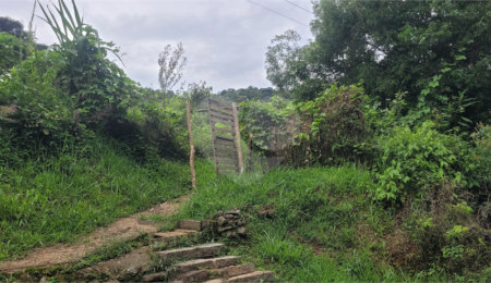 Terreno à venda em Serra da Cantareira, Mairiporã, SP