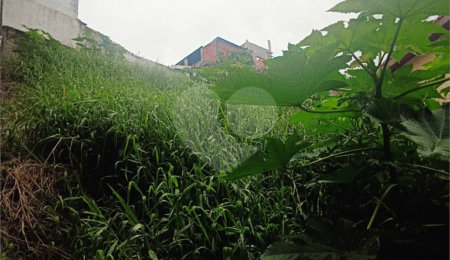 Terreno à venda em Tremembé, São Paulo, SP