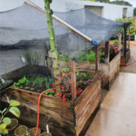 Casa à venda com 3 suítes no condomínio Village Ipanema 1, Araçoiaba da Serra - SP