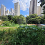 Terreno à venda com 1 quarto em Água Fria, São Paulo, SP