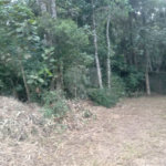 Terreno à venda em Samambaia, Mairiporã, SP