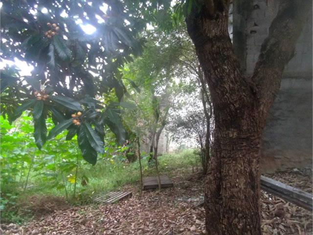 Terreno à venda em Casa Verde, São Paulo, SP