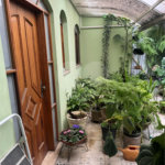 Casa à venda com 2 quartos, sendo 1 suíte, em Imirim, São Paulo, SP