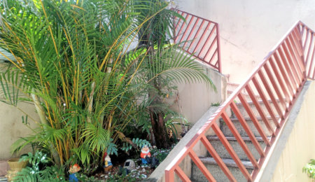 Casa Térrea à venda com 2 quartos, sendo 1 suíte,  em Jardim São Paulo(zona Norte), São Paulo, SP