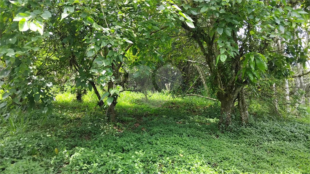 Chácara à venda com 2 quartos em Vila Caputera, Mogi das Cruzes, SP