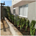 Apartamento à venda com 2 quartos em Chácara Califórnia, São Paulo, SP