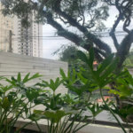 Apartamento à venda com 2 suítes em Vila Madalena, São Paulo, SP