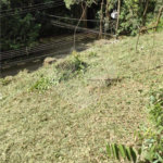 Terreno à venda no condomínio Parque Imperial da Cantareira, Mairiporã - SP