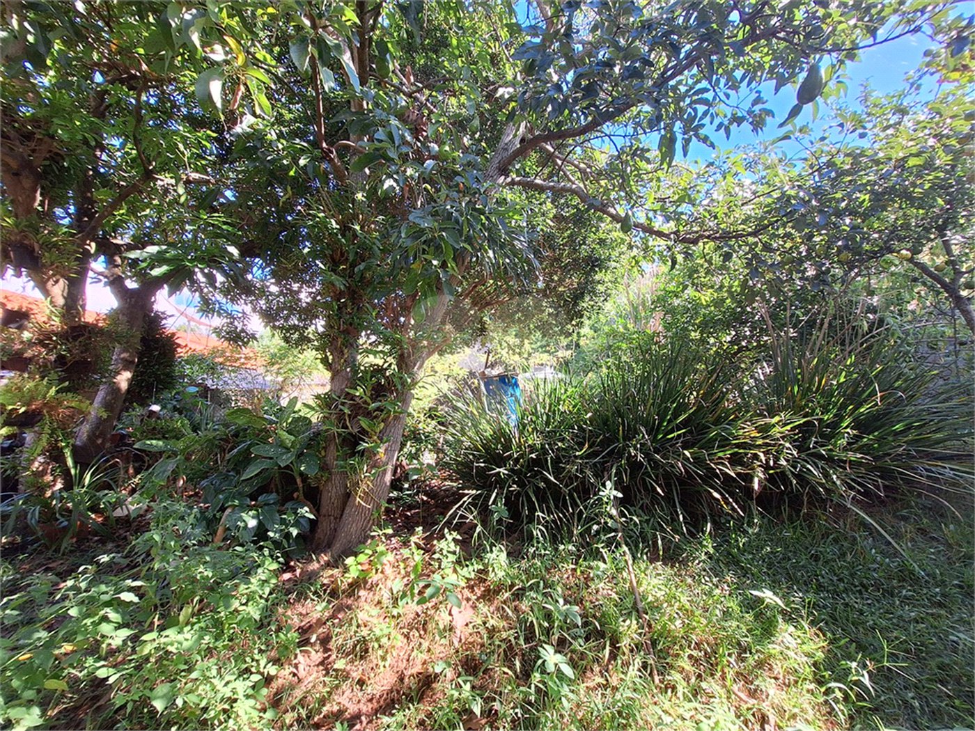 Casa à venda com 4 quartos, sendo 1 suíte, em Santa Cândida, Vinhedo, SP