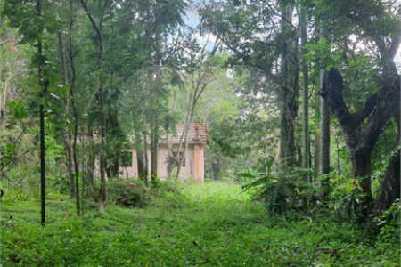 Chácara - São Carlos