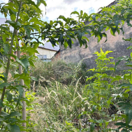 Terreno à venda em Jardim Bandeirantes, Salto, SP