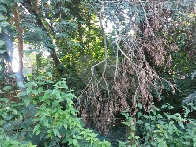 Terreno à venda em Tremembé, São Paulo, SP